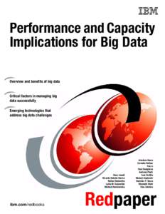 Performance and Capacity Implications for Big Data