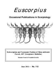 Zoology / Buthidae / Tityus / Euscorpius / Arachnid / Pedipalp / Metasoma / L Carinae / Scorpions / Phyla / Protostome