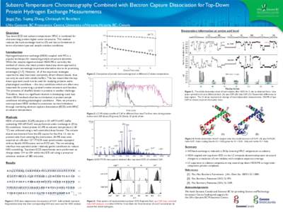 Subzero Temperature Chromatography Combined with Electron Capture Dissociation for Top-Down Protein Hydrogen Exchange Measurements Jingxi Pan, Suping Zhang, Christoph H. Borchers UVic-Genome BC Proteomics Centre, Univers