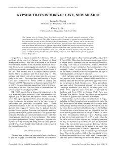 Linda M. Doran and Carol A. Hill-Gypsum Trays in Torgac Cave, New Mexico. Journal of Cave and Karst Studies 60(1): [removed]GYPSUM TRAYS IN TORGAC CAVE, NEW MEXICO