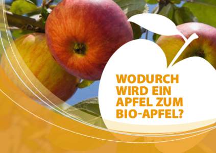 Wodurch wird Ein Apfel zum Bio-Apfel?  Bio