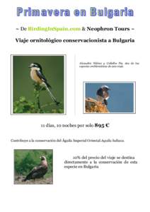 ~ De BirdingInSpain.com & Neophron Tours ~ Viaje ornitológico conservacionista a Bulgaria Alcaudón Núbico y Collalba Pía, dos de las especies emblemáticas de este viaje.