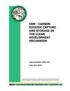 ERM - CARBON DIOXIDE CAPTURE AND STORAGE IN THE CLEAN DEVELOPMENT MECHANISM