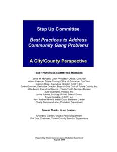 Step Up Committee Best Practices to Address Community Gang Problems A City/County Perspective BEST PRACTICES COMMITTEE MEMBERS
