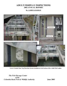 ADULT FISHWAY INSPECTIONS 2002 ANNUAL REPORT By: LARRY R. BASHAM Vertical Slot