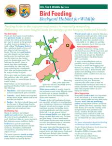 U.S. Fish & Wildlife Service  Bird Feeding Backyard Habitat for Wildlife Feeding birds in the autumn and winter is especially rewarding.