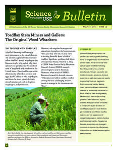 Bulletin PDF Newsletter Banner v6