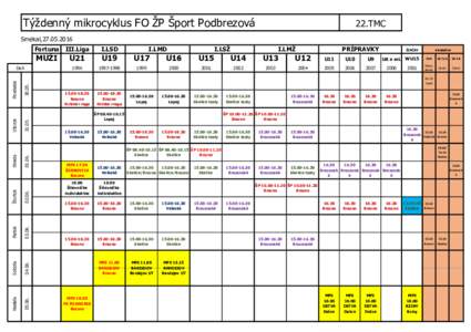 Týždenný mikrocyklus FO ŽP Šport Podbrezová  22.TMC Smékal,
