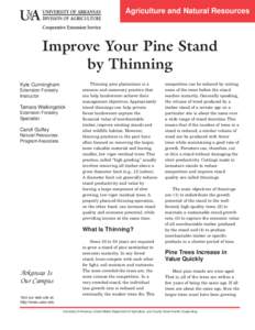 Improve Your Pine Stand by Thinning - FSA5001