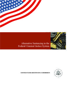 Alternative Sentencing in the Federal Criminal Justice System UNITED STATES SENTENCING COMMISSION  United States Sentencing Commission