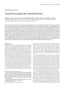 The Journal of Neuroscience, August 12, 2009 • 29(32):9987–9999 • 9987  Behavioral/Systems/Cognitive Visual Processing in the Central Bee Brain Angelique C. Paulk,1 Andrew M. Dacks,2 James Phillips-Portillo,2 Jean-