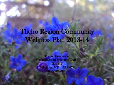 Tlicho Region Community Wellness Plan