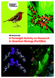 Quantum physics research lasers