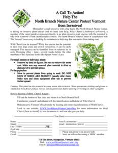 A Call To Action! Help The North Branch Nature Center Protect Vermont from Invasives!  Montpelier’s small preserve with a big heart, The North Branch Nature Center,