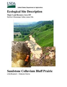 Ecological Site Description: Sandstone Colluvium Bluff Prairie