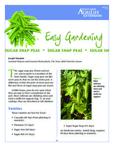 EHT[removed]sugar snap peas  •