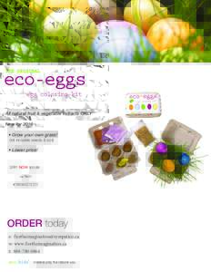 eco-eggs THE ORIGINAL egg coloring kit  All natural fruit & vegetable extracts ONLY