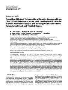 Prooxidant Effects of Verbascoside, a Bioactive Compound from Olive Oil Mill Wastewater, on In Vitro Developmental Potential of Ovine Prepubertal Oocytes and Bioenergetic/Oxidative Stress Parameters of Fresh and Vitrifie