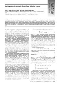 Spatial pattern formation in chemical and biological systems Philip K. Maini,a Kevin J. Paintera and Helene Nguyen Phong Chaub a Centre for Mathematical Biology, Mathematical Institute, 24-29 St GilesÏ, Oxford, UK OX1 3