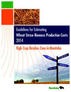 Cost of Production wheat straw biomass