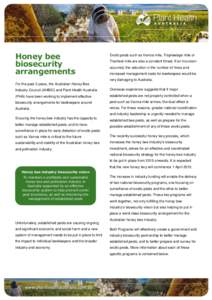 Agriculture / Varroa / Diseases of the honey bee / Bee / Western honey bee / Apis cerana / Small hive beetle / Africanized bee / Honey bee / Beekeeping / Plant reproduction / Pollination
