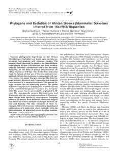 Molecular Phylogenetics and Evolution Vol. 20, No. 2, August, pp. 185–195, 2001 doi:[removed]mpev[removed], available online at http://www.idealibrary.com on