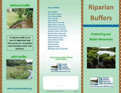 without buffer  Source: Davis Creek Watershed, MI A riparian buffer is an area of vegetated land