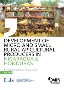 DEVELOPMENT OF MICRO AND SMALL RURAL APICULTURAL PRODUCERS IN NICARAGUA & HONDURAS