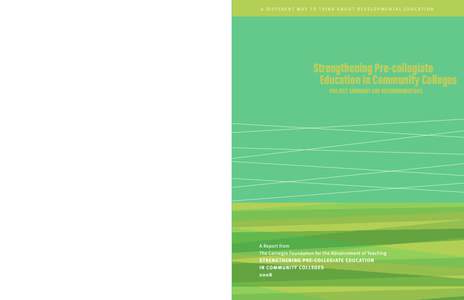 A D I F F E R E N T W AY T O T H I N K A B O U T D E V E LO P M E N TA L E D U C AT I O N  Strengthening Pre-collegiate Education in Community Colleges PROJECT SUMMARY AND RECOMMENDATIONS