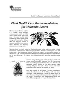 Plant Health Care Recommendations for Mountain Laurel Mountain laurel (Kalmia latifolia) is a popular native broadleaf evergreen shrub which is widely used in shrub borders and natural