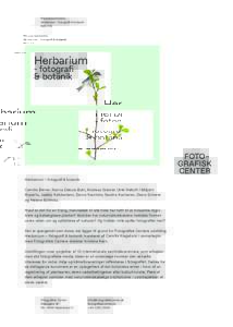 Pressemeddelelse Herbarium - fotografi & botanik Side 1 / 2 Herbarium – fotografi & botanik Camilla Berner, Nanna Debois Buhl, Andreas Greiner, Ulrik Heltoft / Miljohn