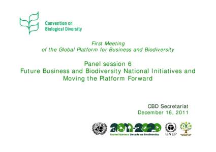 First Meeting of the Global Platform for Business and Biodiversity Panel session 6 Future Business and Biodiversity National Initiatives and Moving the Platform Forward