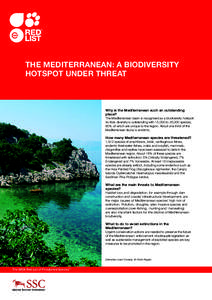 THE MEDITERRANEAN: A BIODIVERSITY HOTSPOT UNDER THREAT Why is the Mediterranean such an outstanding place? The Mediterranean basin is recognised as a biodiversity hotspot: