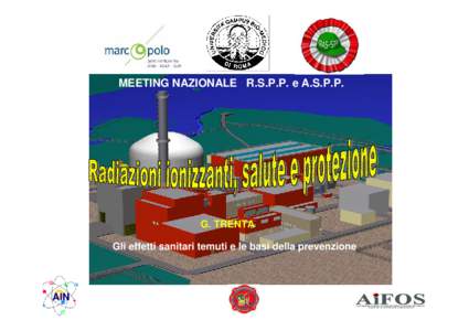 MEETING NAZIONALE R.S.P.P. e A.S.P.P.  G. TRENTA Gli effetti sanitari temuti e le basi della prevenzione  AIN