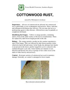 Forest Health Protection, Southern Region  COTTONWOOD RUST, caused by Melampsora medusae Importance. - All sizes of cottonwood are affected, but cottonwood rust is particularly severe in plantations and nurseries. Heavy 