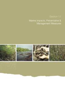 Section 11 Marine Impacts, Preventative & Management Measures Introduction