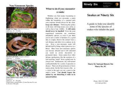 Ninety Six  Non-Venomous Species National Park Service U.S. Department of Interior
