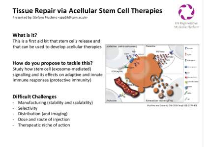 Tissue Repair via Acellular Stem Cell Therapies Presented by: Stefano Pluchino <> What is it?  This is a first aid kit that stem cells release and