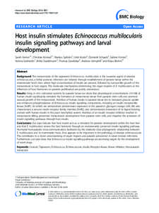 Growth factors / Integral membrane proteins / Eli Lilly and Company / Insulin / Phosphoinositide 3-kinase / Echinococcus multilocularis / Echinococcosis / Signal transduction / AKT / Biology / Peptide hormones / Tyrosine kinase receptors