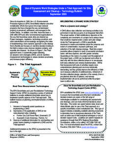 Use of Dynamic Work Strategies Under a Triad Approach for Site Assessment and Cleanup – Technology Bulletin September 2005 Since its inception in 1995, the U.S. Environmental Protection Agency’s (EPA) Brownfields Ini