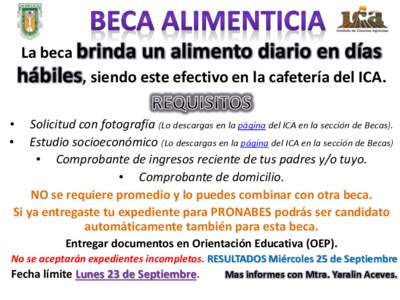 La beca brinda un alimento diario en días hábiles, siendo este efectivo en la cafetería del ICA. • •  Solicitud con fotografía (Lo descargas en la página del ICA en la sección de Becas).