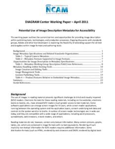 DIAGRAM CENTER WORKING PAPER – March 2011