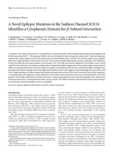 10022 • The Journal of Neuroscience, November 3, 2004 • 24(44):10022–[removed]Neurobiology of Disease A Novel Epilepsy Mutation in the Sodium Channel SCN1A Identifies a Cytoplasmic Domain for ␤ Subunit Interaction