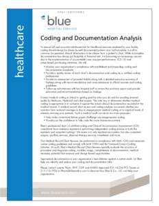 Blue_Co_Coding_and_Document_Analysis