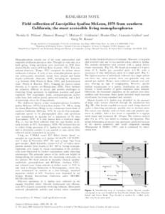 Neopilina / Hyalina / Tryblidiida / Monoplacophora / Micropilina / Mollusca