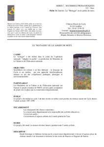 SERIE C - MATERIELS PEDAGOGIQUES C2 – Jeux Fiche De Guérin - Le 