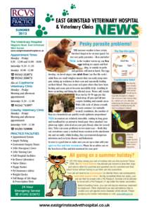 Pets / Cat health / Dog health / Flea / Parasites / Pet insurance / Tick / Dog / Bordetella bronchiseptica / Zoology / Biology / Veterinary medicine