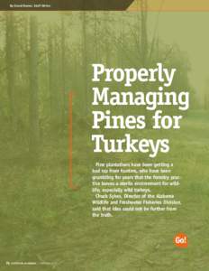 By David Rainer, Staff Writer  Properly Managing Pines for Turkeys