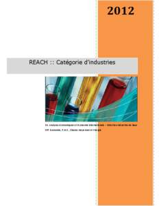 2012  REACH :: Catégorie d’industries E4. Analyses économiques et Economie internationale – Direction industries de base SPF Economie, P.M.E., Classes moyennes et Energie