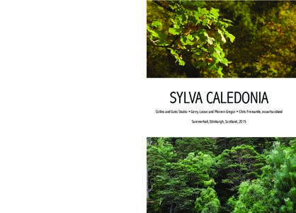 SYLVA CALEDONIA Collins and Goto Studio • Gerry Loose and Morven Gregor • Chris Fremantle, ecoartscotland Summerhall, Edinburgh, Scotland, 2015 SYLVA CALEDONIA Collins and Goto Studio with Sara Ocklind